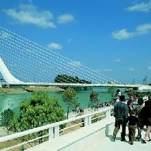 Alamillo Bridge