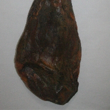 Jamón Ibérico bellota 7 Kgr.